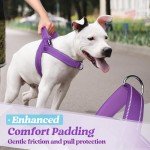 rabbitgoo Dog Harness No Pull, Quick Fit for Medium Sized Dog with Soft Padded Handle, Chest Adjustable Reflective Pet Vest, No Choke Escape Proof for Walking Training, Purple M