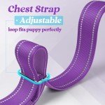 rabbitgoo Dog Harness No Pull, Quick Fit for Medium Sized Dog with Soft Padded Handle, Chest Adjustable Reflective Pet Vest, No Choke Escape Proof for Walking Training, Purple M
