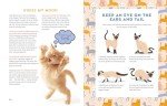 A Kid's Guide to Cats: How to Train, Care for, and Play and Communicate with Your Amazing Pet!