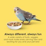 Kaytee Fiesta Parakeet Food, Nutritious and Fun Blend, Supports Skin, Feather, Digestion, Brain and Heart Health, 4.5 pounds