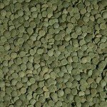 Tetra PlecoWafers 86 Grams, Nutritionally Balanced Fish Food For Algae Eaters , 3.03 Ounce (Pack of 1)