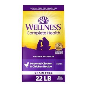 Wellness Complete Health Dry Dog Food, Grain Free, Natural, Chicken Recipe, (22-Pound Bag)