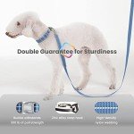 Pawaii Personalized Dog Collar and Leash Set, Reflective Leash for Medium Dogs, Adjustable Size