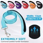 6 Sets Reflective Dog Leash and Collar Set, Nylon Leashes Adjustable Dog Collar Heavy Duty Padded Handle Leash for Small Medium Large Dogs Walking Training(Lovely Color)