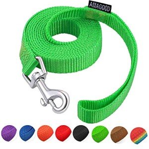 AMAGOOD 6 FT Puppy/Dog Leash, Strong and Durable Traditional Style Leash with Easy to Use Collar Hook,Dog Lead Great for Small and Medium and Large (Green,5/8" x 6 Feet)