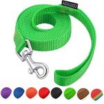 AMAGOOD 6 FT Puppy/Dog Leash, Strong and Durable Traditional Style Leash with Easy to Use Collar Hook,Dog Lead Great for Small and Medium and Large (Green,5/8" x 6 Feet)