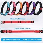 6 Sets Reflective Dog Leash and Collar Set, Nylon Leashes Adjustable Dog Collar Heavy Duty Padded Handle Leash for Small Medium Large Dogs Walking Training(Lovely Color)