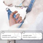 Pawaii Personalized Dog Collar and Leash Set, Reflective Leash for Medium Dogs, Adjustable Size