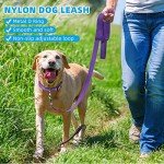 6 Sets Reflective Dog Leash and Collar Set, Nylon Leashes Adjustable Dog Collar Heavy Duty Padded Handle Leash for Small Medium Large Dogs Walking Training(Lovely Color)