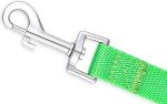 AMAGOOD 6 FT Puppy/Dog Leash, Strong and Durable Traditional Style Leash with Easy to Use Collar Hook,Dog Lead Great for Small and Medium and Large (Green,5/8" x 6 Feet)