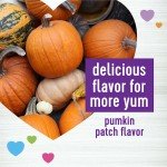 Wellness Pumpkin Patch Flavored Soft Chew Digestive Health Supplements for Dogs, 45 Count