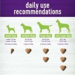 Wellness Pumpkin Patch Flavored Soft Chew Digestive Health Supplements for Dogs, 45 Count