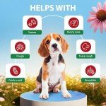 Kennel Cough Drops for Dogs & Cats Cough Relief Dry and Wet Pet Cough Allergy Relief - for Dogs of All Breeds & Sizes