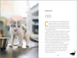 Understanding Cat Behavior: A Compassionate Guide to Training and Communication