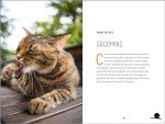 Understanding Cat Behavior: A Compassionate Guide to Training and Communication