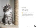 Understanding Cat Behavior: A Compassionate Guide to Training and Communication