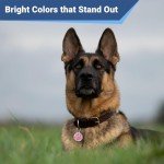 GoTags Paw Print Round Stainless Steel Pet Tag for Dogs and Cats, Personalized with 4 Lines of Custom Engraved ID Name and Number, in Stainless Steel and 15 Colors Small and Large, Glitter Blue