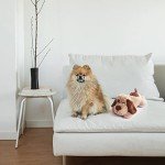 BEVERLYSHARK Beverly Shark Puppy Heartbeat Toy Dog Anxiety Relief Calming Aid Puppy Heartbeat Stuffed Animal Behavioral Training Sleep Aid Comfort Soother Plush Toy for Puppies Cats