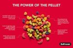 ZuPreem FruitBlend Flavor Pellets Bird Food for Parrots and Conures, 3.5 lb (Pack of 2) - Daily Blend Made in USA for Caiques, African Greys, Senegals, Amazons, Eclectus, Small Cockatoos