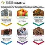 Fluval Bug Bites Tropical Fish Food, Flakes for Small to Medium Sized Fish, 3.17 oz., A7332, Brown