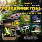 Xtreme Big Fella 3.0mm Pellets: Professional Nutrition for Medium to Large Cichlid/Community Fish - Boost Immune & Digestive Health, Color & Energy, Max Protein Fish Food – USA Farm Grown (20oz)