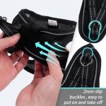 Dog Harness for Small Dogs, Small Dog Harness and Leash Set, Honeycomb Grid, Reflective Lightweight Harness & Anti-Twist Pet Lead,Dog Harness(Multi Color, Size: XS-S-M) (XS, Black)