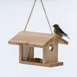 C&S Wild Bird Bluebird Suet Nuggets Mega Box, 8 Pounds