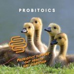 Manna Pro Duck Starter Grower Crumble – Non-Medicated Feed for Healthy Ducks & Geese, Supports Digestion – 8 lb