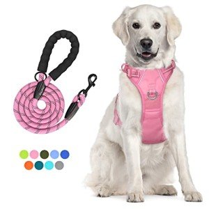PoyPet No Pull Dog Harness and 5 Feet Leash Set, Release on Neck Reflective Adjustable Pet Vest, Front & Back 2 D-Ring and Soft Padded Pet Harness with Handle for Small to Large Dogs(Pink,L)