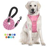 PoyPet No Pull Dog Harness and 5 Feet Leash Set, Release on Neck Reflective Adjustable Pet Vest, Front & Back 2 D-Ring and Soft Padded Pet Harness with Handle for Small to Large Dogs(Pink,L)