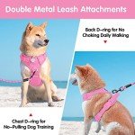 PoyPet No Pull Dog Harness and 5 Feet Leash Set, Release on Neck Reflective Adjustable Pet Vest, Front & Back 2 D-Ring and Soft Padded Pet Harness with Handle for Small to Large Dogs(Pink,L)