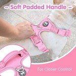PoyPet No Pull Dog Harness and 5 Feet Leash Set, Release on Neck Reflective Adjustable Pet Vest, Front & Back 2 D-Ring and Soft Padded Pet Harness with Handle for Small to Large Dogs(Pink,L)
