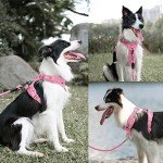 PoyPet No Pull Dog Harness and 5 Feet Leash Set, Release on Neck Reflective Adjustable Pet Vest, Front & Back 2 D-Ring and Soft Padded Pet Harness with Handle for Small to Large Dogs(Pink,L)