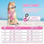 PoyPet No Pull Dog Harness and 5 Feet Leash Set, Release on Neck Reflective Adjustable Pet Vest, Front & Back 2 D-Ring and Soft Padded Pet Harness with Handle for Small to Large Dogs(Pink,L)