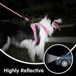 PoyPet No Pull Dog Harness and 5 Feet Leash Set, Release on Neck Reflective Adjustable Pet Vest, Front & Back 2 D-Ring and Soft Padded Pet Harness with Handle for Small to Large Dogs(Pink,L)