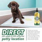 Bodhi Dog Potty Training Spray - Puppy & Dog Training Aid for Indoor & Outdoor Attractant Spray Use - Encourages Proper Dog Pee Here Habits - Safe for Pets & Home - Made in The USA (8 Fl Oz)