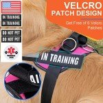 Essential Dog Harness, No Pull Pet Harness with 3 Side Rings for Leash Placement, No Choke, Reflective, Adjustable Pet Vest, Easy On-Off & Improved Control Handle, Training, Walking, Running