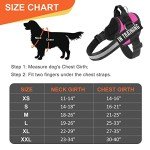Essential Dog Harness, No Pull Pet Harness with 3 Side Rings for Leash Placement, No Choke, Reflective, Adjustable Pet Vest, Easy On-Off & Improved Control Handle, Training, Walking, Running