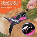 Essential Dog Harness, No Pull Pet Harness with 3 Side Rings for Leash Placement, No Choke, Reflective, Adjustable Pet Vest, Easy On-Off & Improved Control Handle, Training, Walking, Running