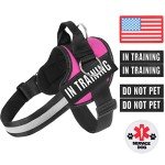 Essential Dog Harness, No Pull Pet Harness with 3 Side Rings for Leash Placement, No Choke, Reflective, Adjustable Pet Vest, Easy On-Off & Improved Control Handle, Training, Walking, Running
