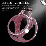 Mercano Soft Mesh Dog Harness and Leash Set, No-Chock Step-in Reflective Breathable Lightweight Easy Walk Escape Proof Vest Harnesses with Safety Buckle for Small Medium Dogs, Cats (Pink, S)