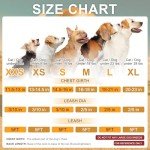 BEAUTYZOO Small Dog Harness and Leash Set,Step in No Chock No Pull Soft Mesh Dog Harnesses Reflective for Extra-Small/Small Medium Puppy Dogs and Cats, Plaid Dog Vest Harness for XS S Pets, Beige XS