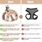 BEAUTYZOO Small Dog Harness and Leash Set,Step in No Chock No Pull Soft Mesh Dog Harnesses Reflective for Extra-Small/Small Medium Puppy Dogs and Cats, Plaid Dog Vest Harness for XS S Pets, Beige XS