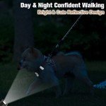 BEAUTYZOO Small Dog Harness and Leash Set,Step in No Chock No Pull Soft Mesh Dog Harnesses Reflective for Extra-Small/Small Medium Puppy Dogs and Cats, Plaid Dog Vest Harness for XS S Pets, Beige XS