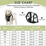 SlowTon Dog Seat Belt Harness for Car, Dog Car Harness Adjustable Mesh Breathable & Dog Seatbelt Safety Tether with Elastic Bungee for Small Medium Large Pets(Black, Double Clip, M)