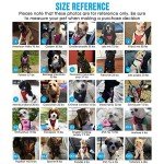 SlowTon Dog Seat Belt Harness for Car, Dog Car Harness Adjustable Mesh Breathable & Dog Seatbelt Safety Tether with Elastic Bungee for Small Medium Large Pets(Black, Double Clip, M)