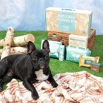 Dog Travel Cleaning Kit and Accessories - Dog Road Trip Essentials - Includes Grooming Wet Wipes and Dry Wipes, Poop Bag, Odor Spray, Pee Pads, and Gloves - Dog Mom Gifts for Women