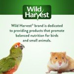 Wild Harvest Daily Blend for Parakeet, Canary, Finch & Small Birds, 2 Pounds