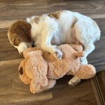 Original Snuggle Puppy Junior. Pet Anxiety Relief and Calming Aid, Comfort Toy for Behavioral Training in Biscuit