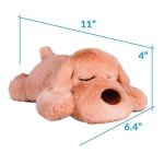Original Snuggle Puppy Junior. Pet Anxiety Relief and Calming Aid, Comfort Toy for Behavioral Training in Biscuit